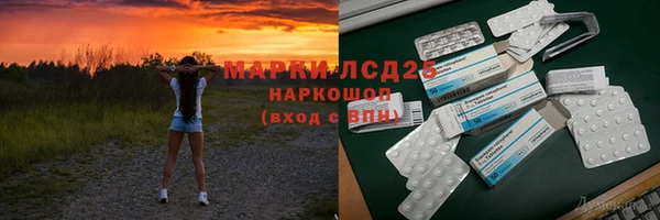 индика Ладушкин