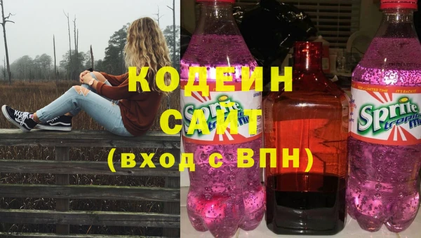 индика Ладушкин