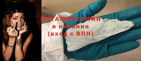 индика Ладушкин