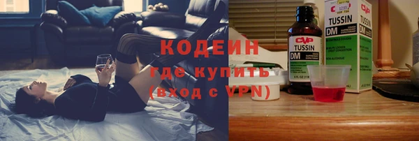 индика Ладушкин