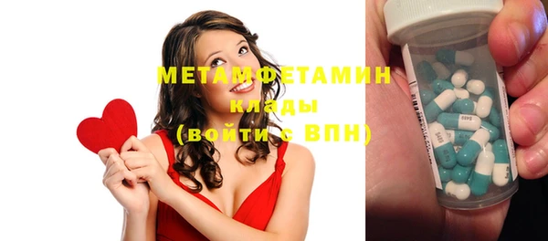 индика Ладушкин
