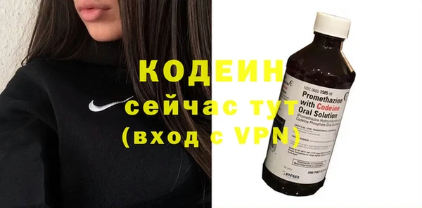 индика Ладушкин