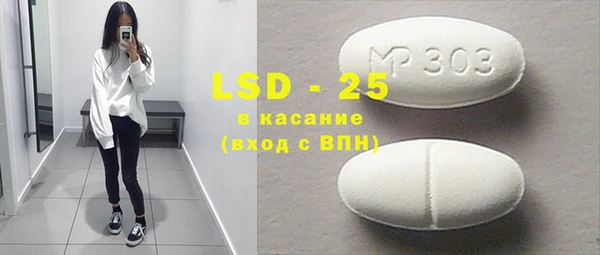 индика Ладушкин
