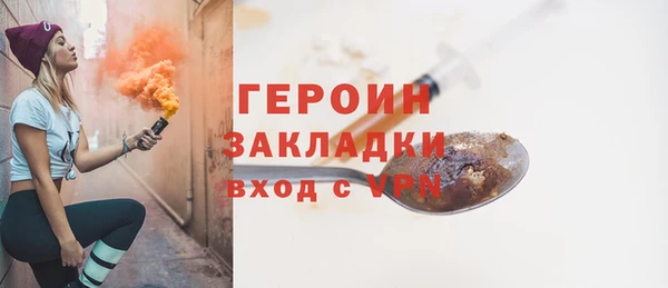 индика Ладушкин
