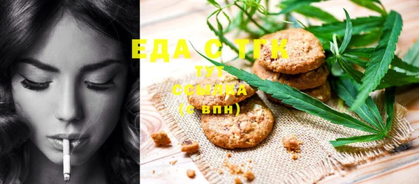 индика Ладушкин