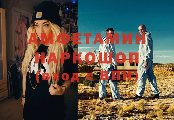 индика Ладушкин