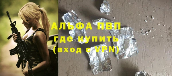 индика Ладушкин