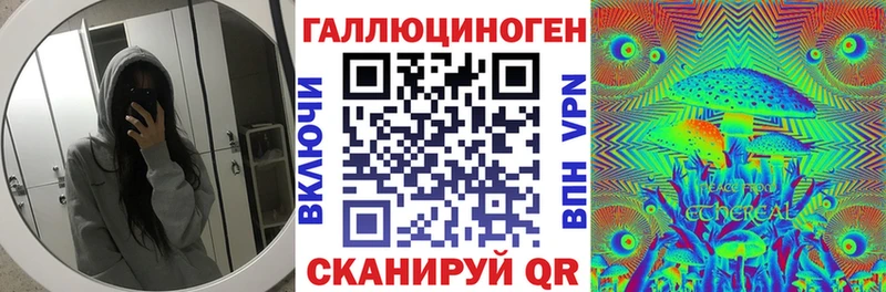Купить  Энем  Галлюциногенные грибы Psilocybe 